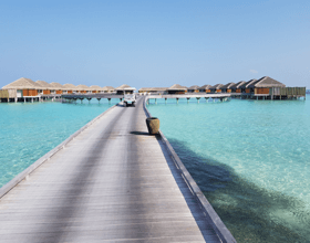 C-TEC Powers Up Paradise Island!