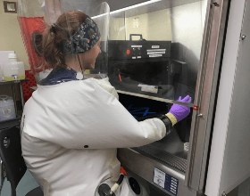 Signify’s UV-C light sources validated on inactivating COVID-19